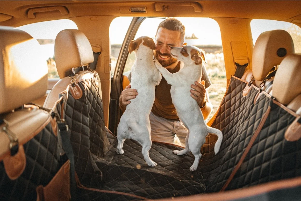 pet seat cover for Chevrolet Impala